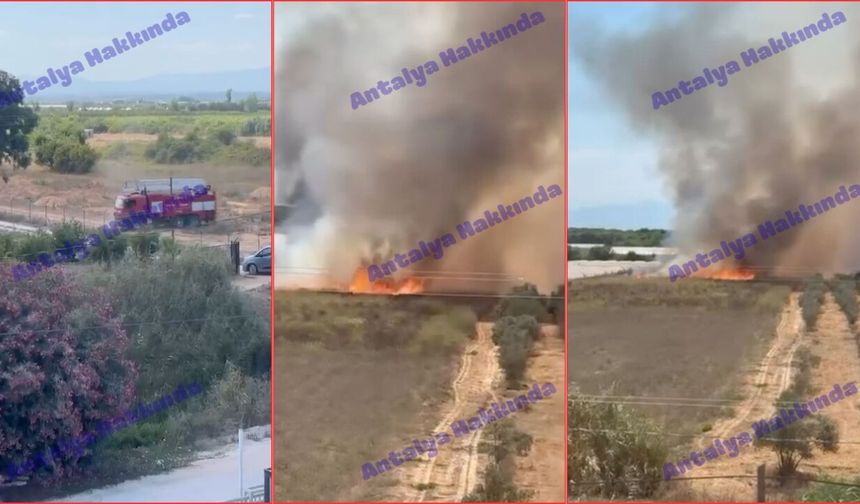 Antalya'da sera yakınında korkutan yangın! O anlar kamerada