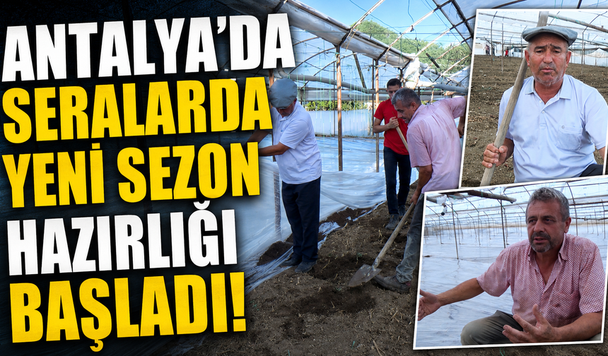 Antalya'da seralarda yeni sezon hazırlığı başladı!