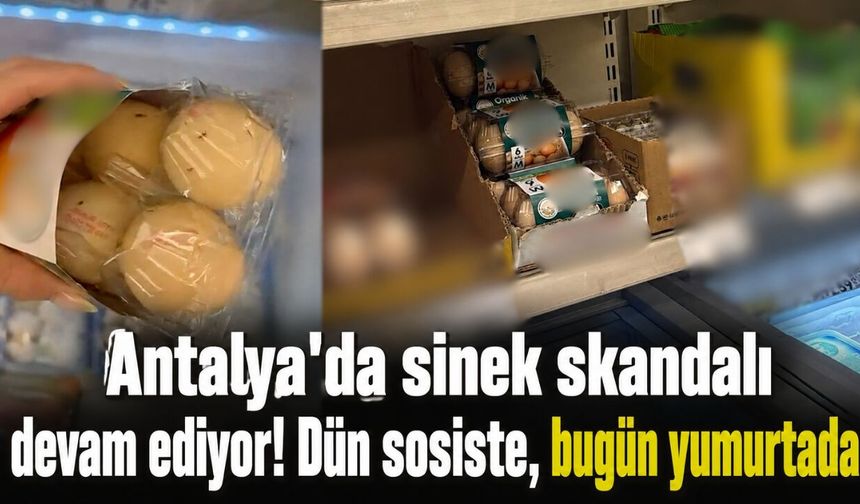 Antalya'da sinek skandalı devam ediyor! Dün sosiste, bugün yumurtada