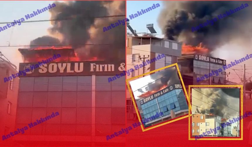 Antalya'da feci yangın! Fırının çatısı alevlere teslim oldu