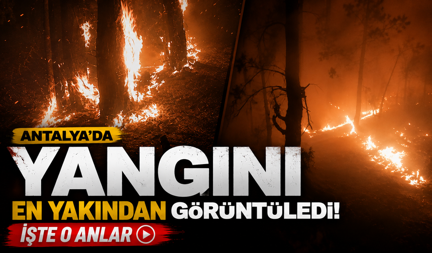 Antalya'da yangını en yakından görüntüledi! İşte o anlar