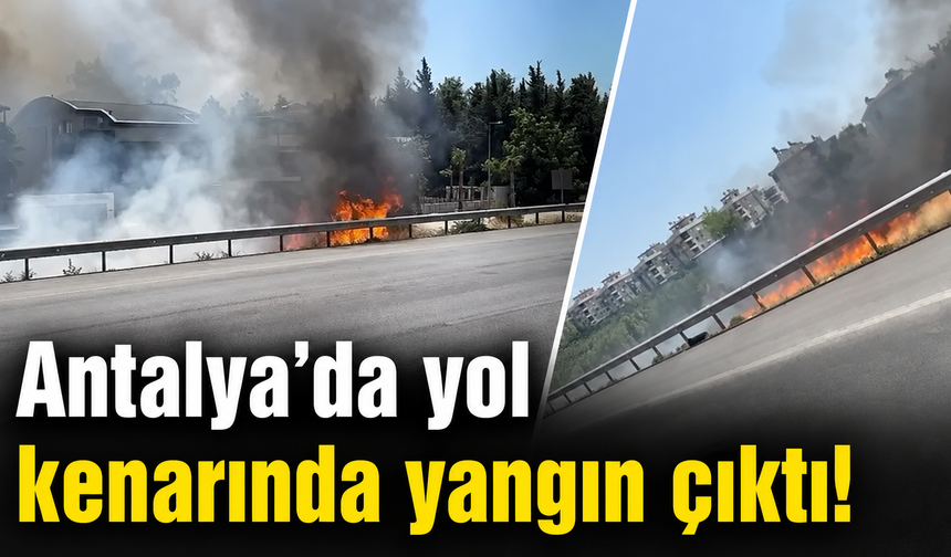 Antalya'da yol kenarında yangın çıktı! İşte o anlar