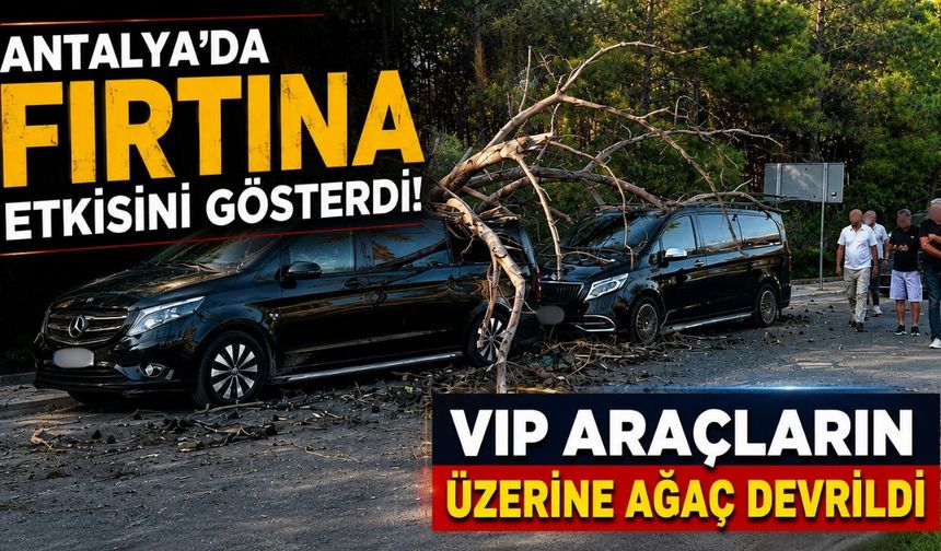 Antalya’da fırtına etkisini gösterdi! VIP araçların üzerine ağaç devrildi