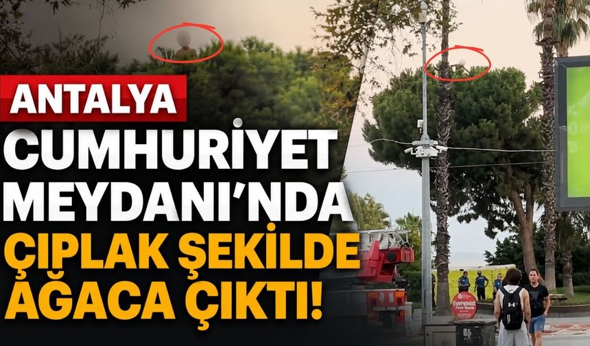 Antalya Cumhuriyet Meydanı’nda çıplak şekilde ağaca çıktı! İşte o anlar