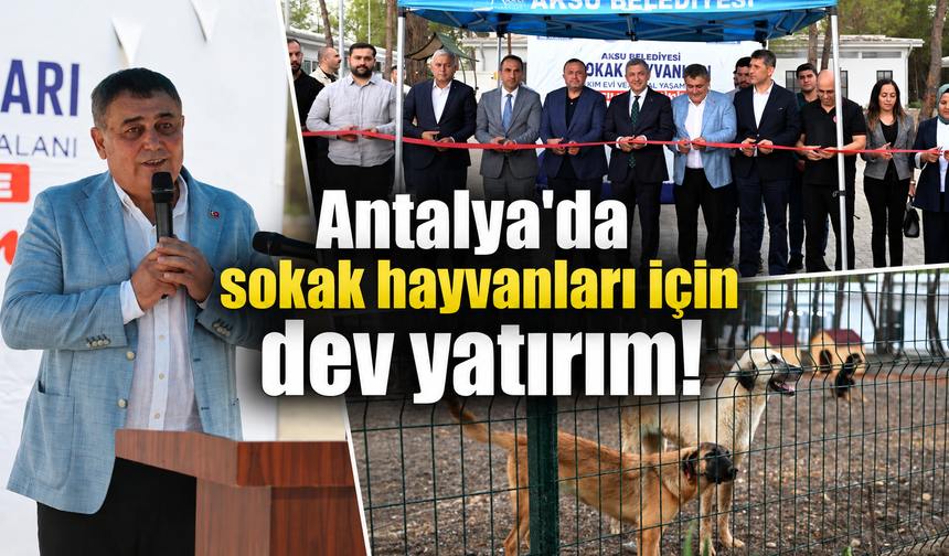 Antalya’da sokak hayvanları için dev yatırım!