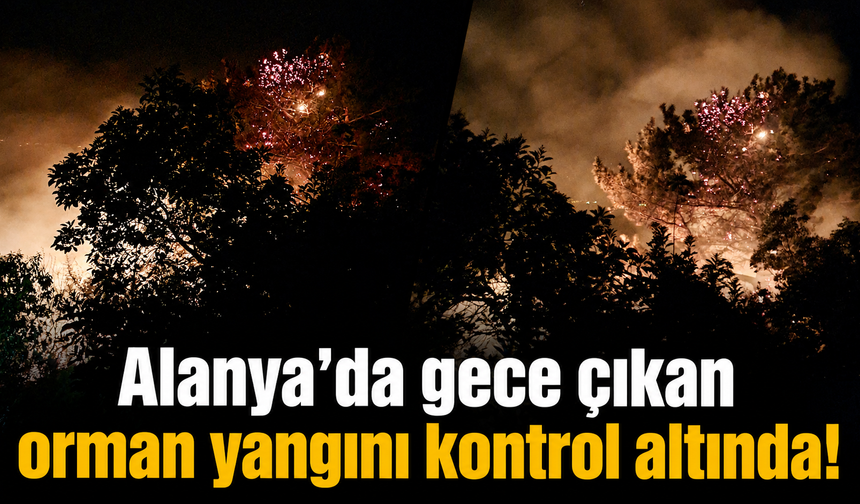 Alanya’da gece çıkan orman yangını kontrol altında!