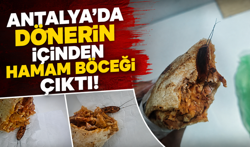 Antalya'da dönerin içinden hamam böceği çıktı!