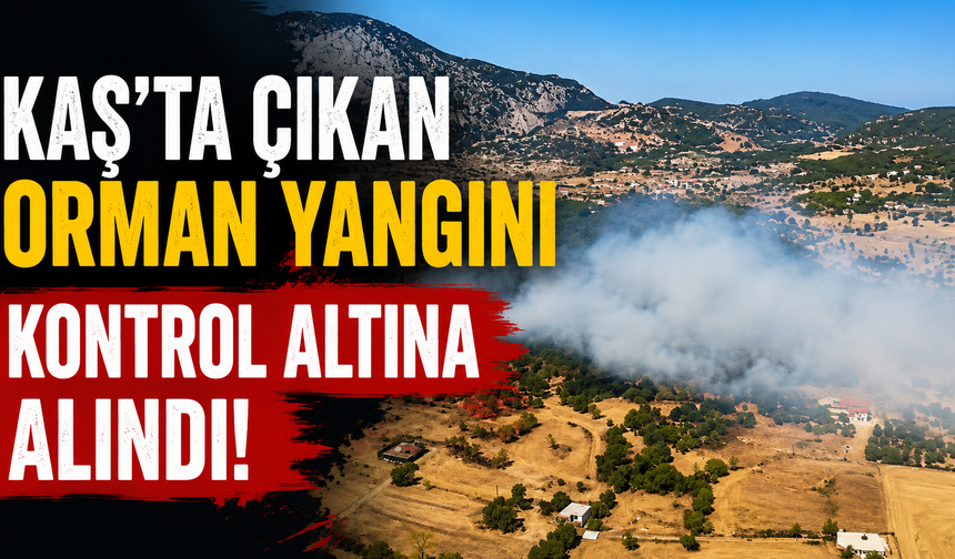 Kaş'ta çıkan orman yangını kontrol altına alındı!