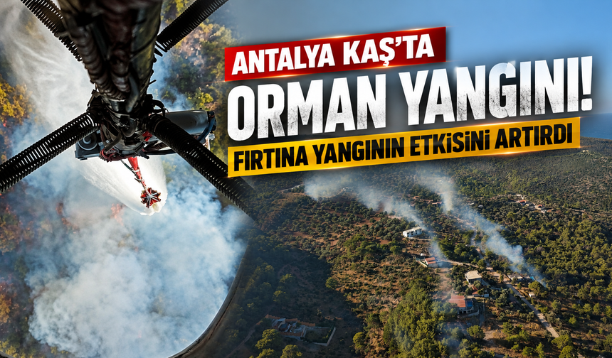 Antalya Kaş'ta orman yangını! Fırtına yangının etkisini artırdı
