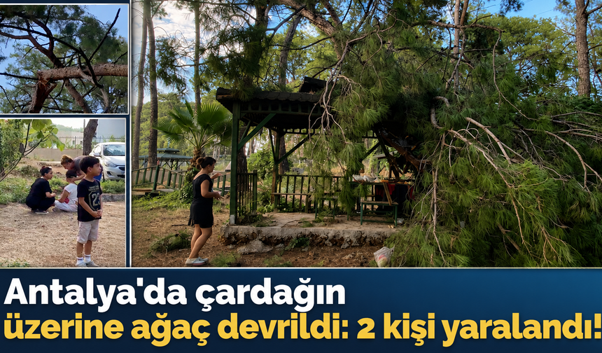 Antalya'da çardağın üzerine ağaç devrildi: 2 kişi yaralandı!