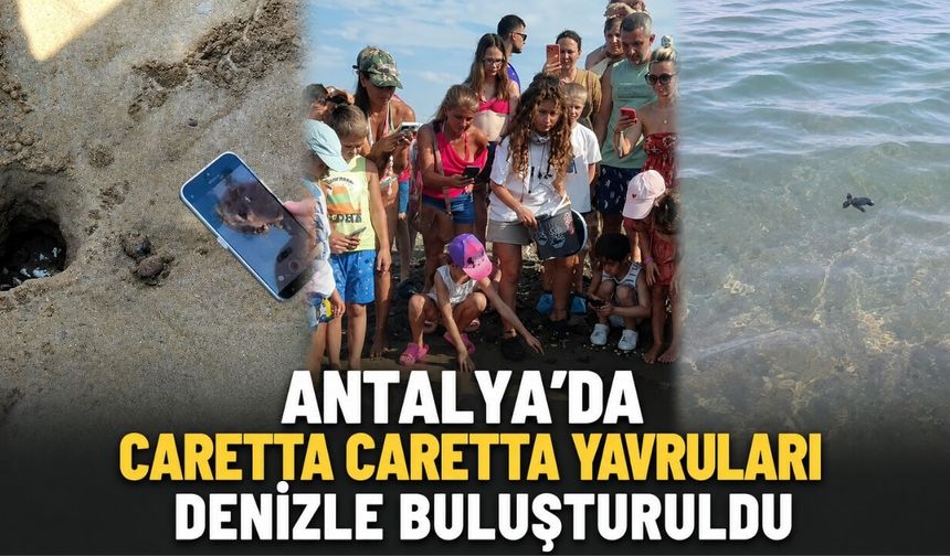 Antalya’da caretta caretta yavruları denizle buluşturuldu