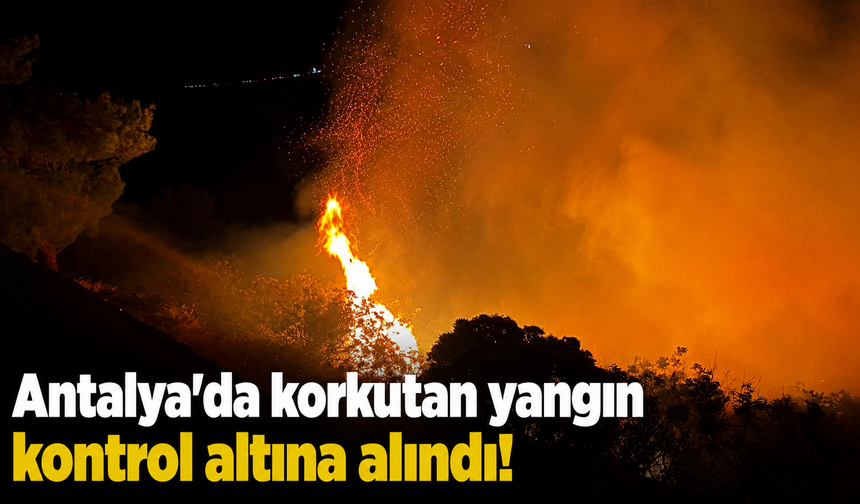 Antalya'da korkutan yangın kontrol altına alındı!