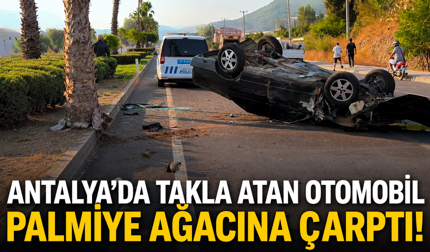 Antalya'da takla atan otomobil palmiye ağacına çarptı!