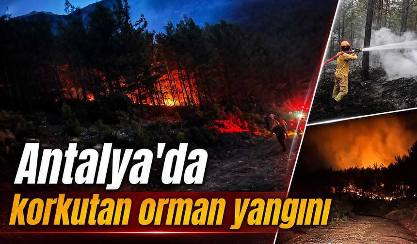 Antalya'da korkutan orman yangını: 7 dönüm alan zarar gördü