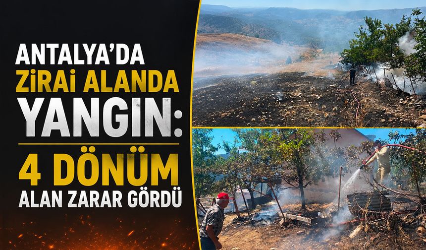 Antalya'da zirai alanda yangın: 4 dönüm alan zarar gördü