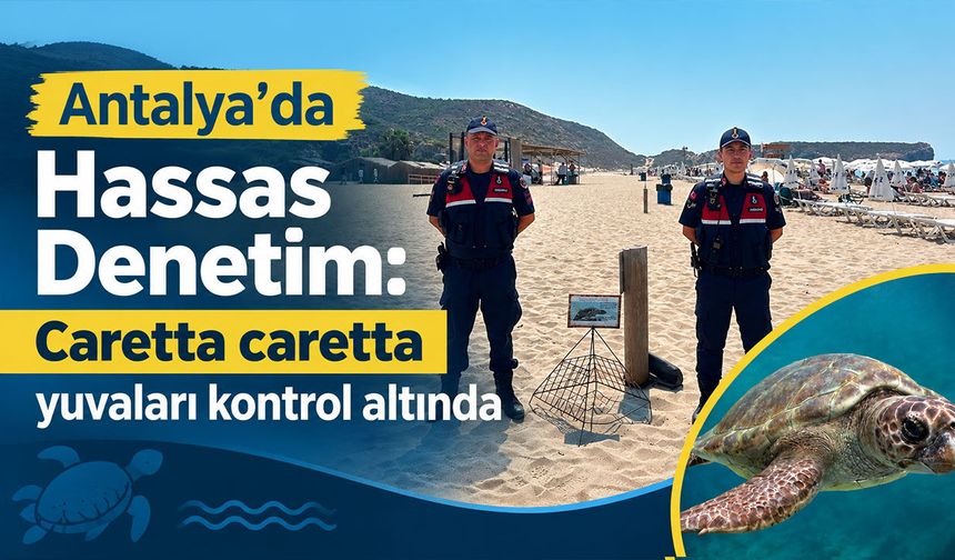 Antalya'da hassas denetim: Caretta caretta yuvaları kontrol altında