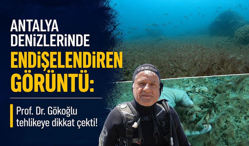 Antalya denizlerinde endişelendiren görüntü: Deniz tabanı kahverengi tabakayla kaplandı