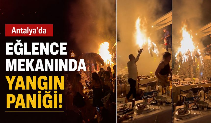 Antalya’da eğlence mekanında yangın paniği: Yapay palmiye ağacı alev aldı