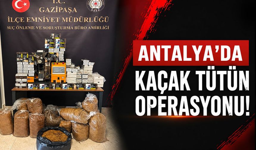Antalya’da kaçak tütün operasyonu: Kilolarca ele geçirildi