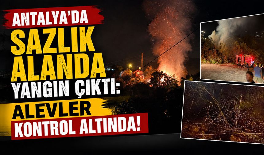 Antalya'da sazlık alanda yangın: Alevler kontrol altında!