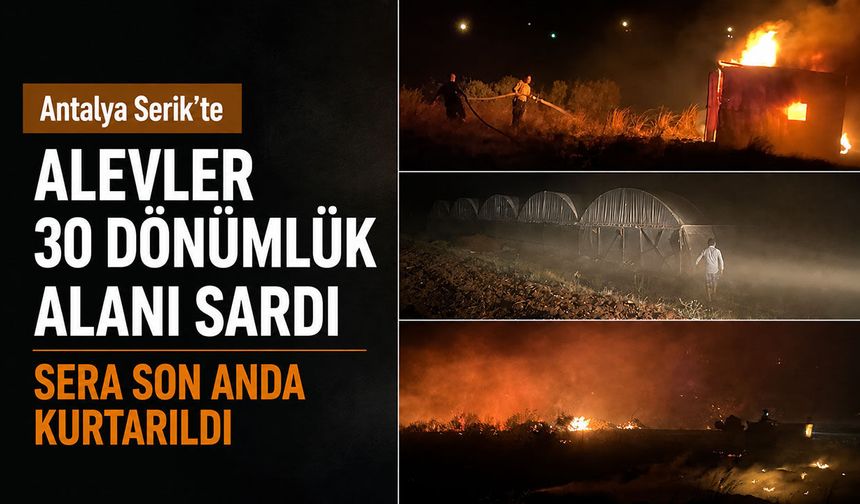 Antalya Serik’te alevler 30 dönümlük alanı sardı: Sera son anda kurtarıldı