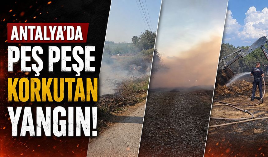 Antalya'da peş peşe yangın: Ağaçlar ve saman balyaları zarar gördü