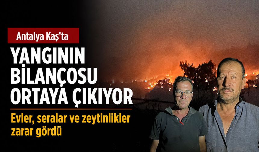 Kaş orman yangınında, evler, seralar ve zeytinlikler zarar gördü