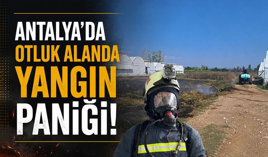 Antalya'da otluk alanda yangın paniği!