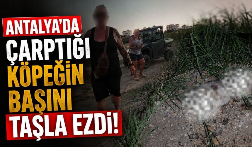 Antalya'da çarptığı köpeğin başını taşla ezdi: Şahıs gözaltında!