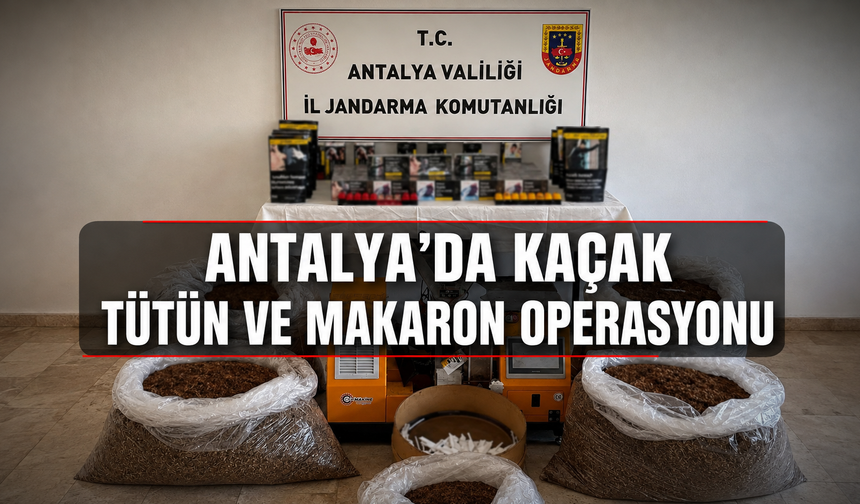 Antalya'da kaçak tütün ve makaron operasyonu