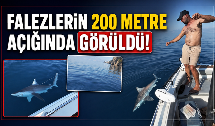 Falezlerin 200 metre açığında görüldü!