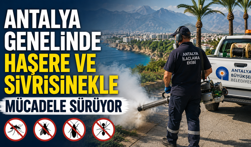 Antalya genelinde haşere ve sivrisinekle mücadele sürüyor