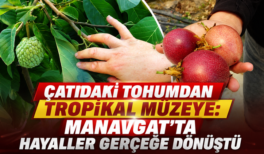 Çatıdaki tohumdan tropikal müzeye: Manavgat'ta hayaller gerçeğe dönüştü