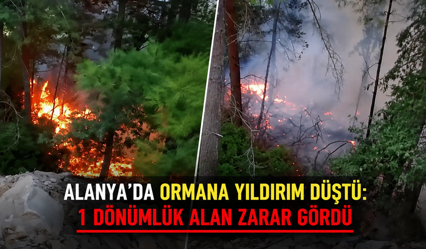 Antalya'da ormana yıldırım düştü: 1 dönümlük alan zarar gördü