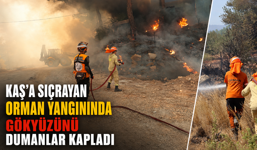 Kaş'a sıçrayan orman yangınında gökyüzünü dumanlar kapladı