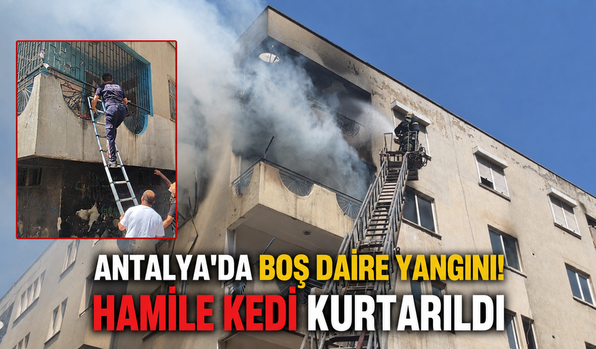 Antalya'da boş daire yangını! Hamile kedi kurtarıldı