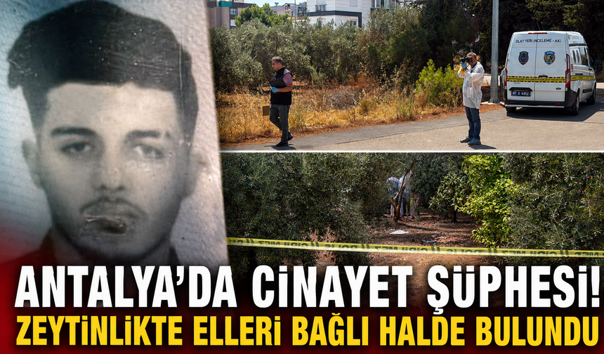 Antalya'da cinayet şüphesi! Zeytinlikte elleri bağlı halde bulundu