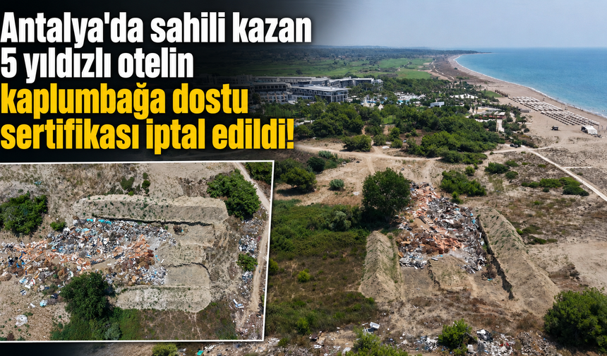 Antalya'da sahili kazan 5 yıldızlı otelin kaplumbağa dostu sertifikası iptal edildi!