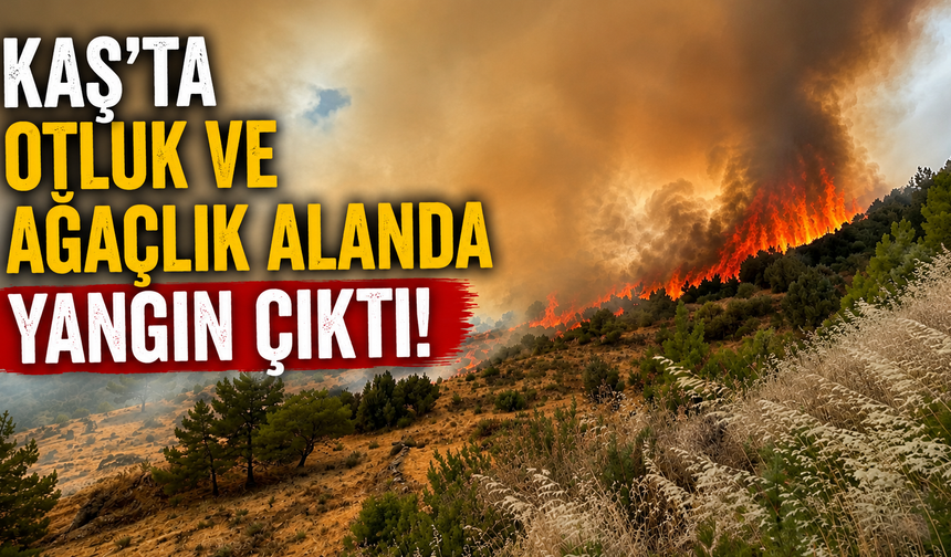 Kaş’ta otluk ve ağaçlık alanda çıkan yangın ormana sıçradı!