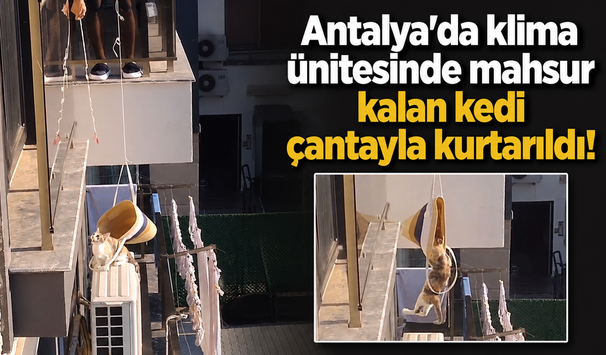 Antalya'da klima ünitesinde mahsur kalan kedi çantayla kurtarıldı!