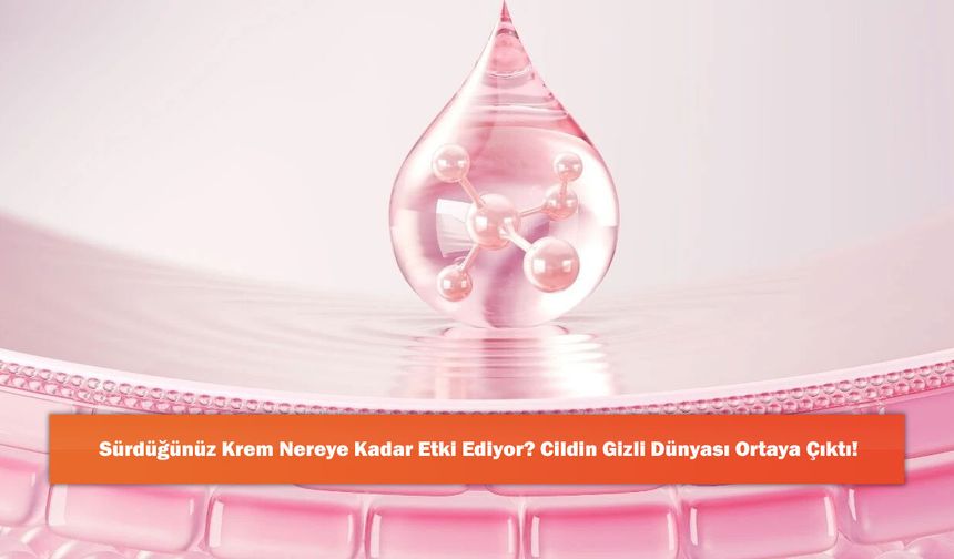 Sürdüğünüz Krem Nereye Kadar Etki Ediyor? Cildin Gizli Dünyası Ortaya Çıktı!