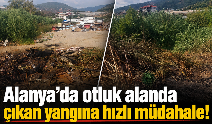 Alanya’da otluk alanda çıkan yangına hızlı müdahale!