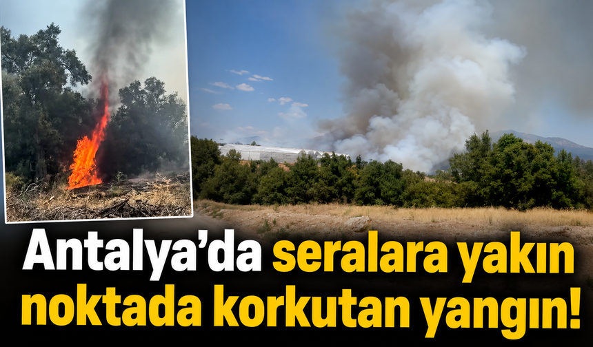 Antalya’da seralara yakın noktada korkutan yangın!