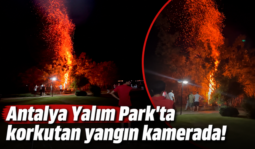 Antalya Yalım Park'ta korkutan yangın kamerada!