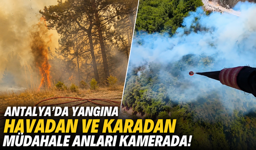 Antalya'da yangına havadan ve karadan müdahale anları kamerada!