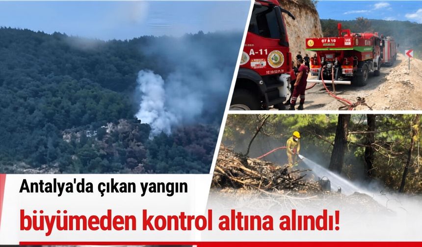 Antalya'da çıkan yangın büyümeden kontrol altına alındı!