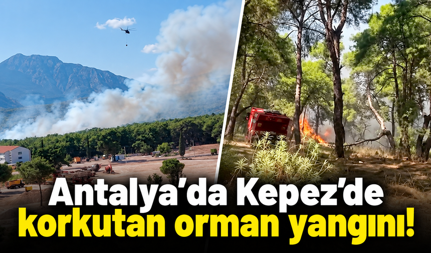 Antalya’da Kepez'de korkutan orman yangını!