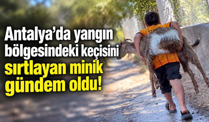 Antalya'da yangın bölgesindeki keçisini sırtlayan minik gündem oldu!