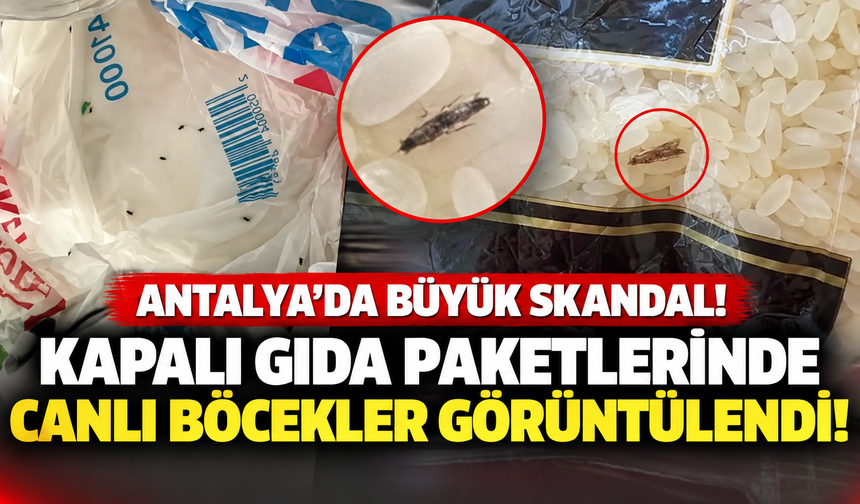 Antalya'da büyük skandal! Kapalı gıda paketlerinde canlı böcekler görüntülendi!