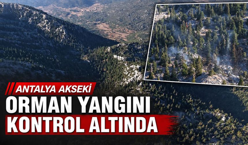 Antalya'nın Akseki ilçesinde çıkan orman yangını kontrol altında